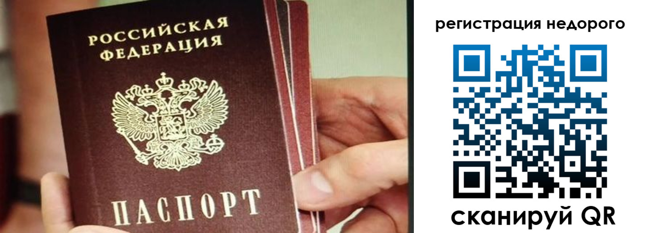 прописка в квартире в Ельце